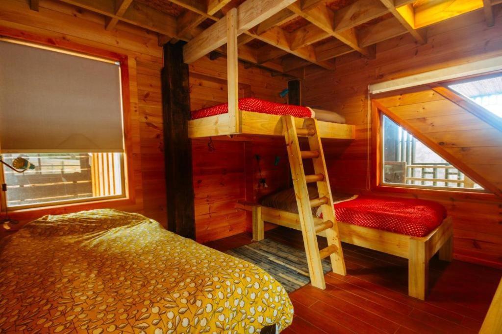 Sirena Insolente Hostel & Suites Pichilemu Eksteriør billede