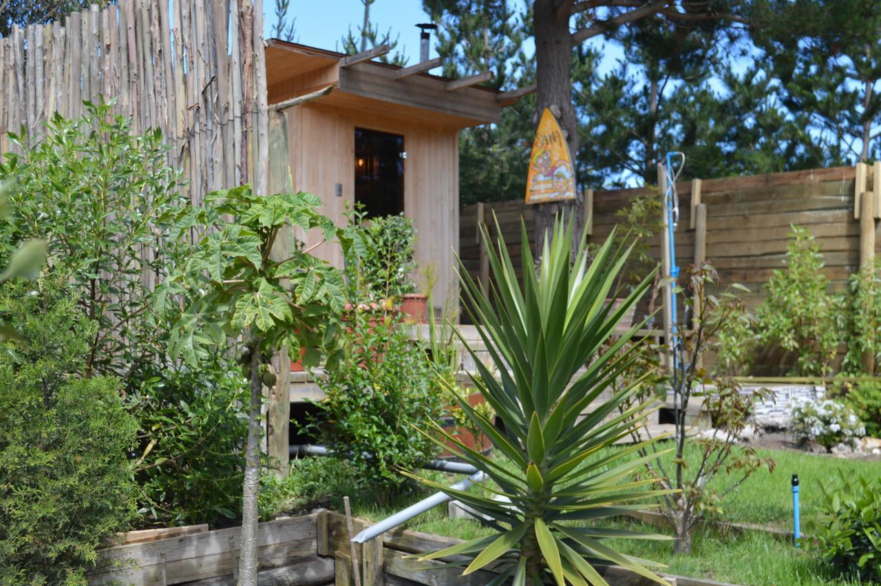 Sirena Insolente Hostel & Suites Pichilemu Eksteriør billede